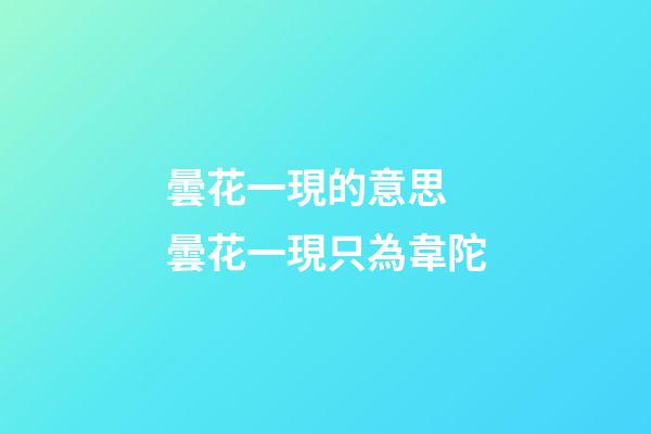 曇花一現的意思 曇花一現只為韋陀